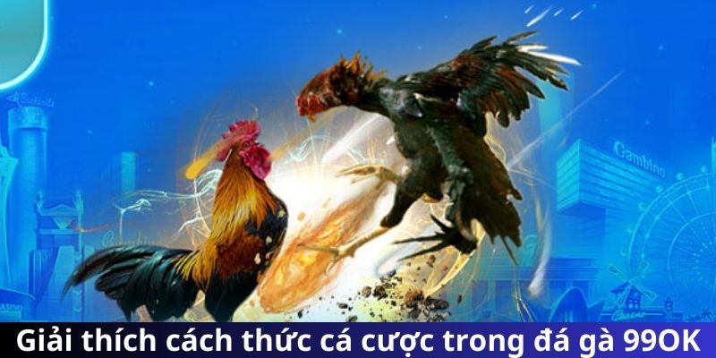 Giải thích cách thức cá cược trong đá gà 99OK