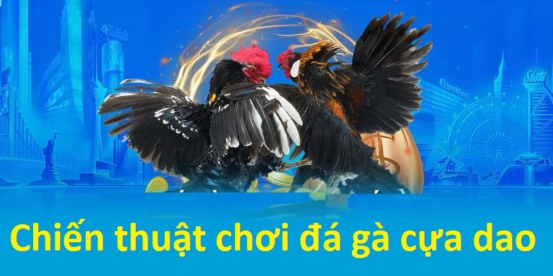 Chiến thuật để giúp mọi người chơi rinh thưởng lớn